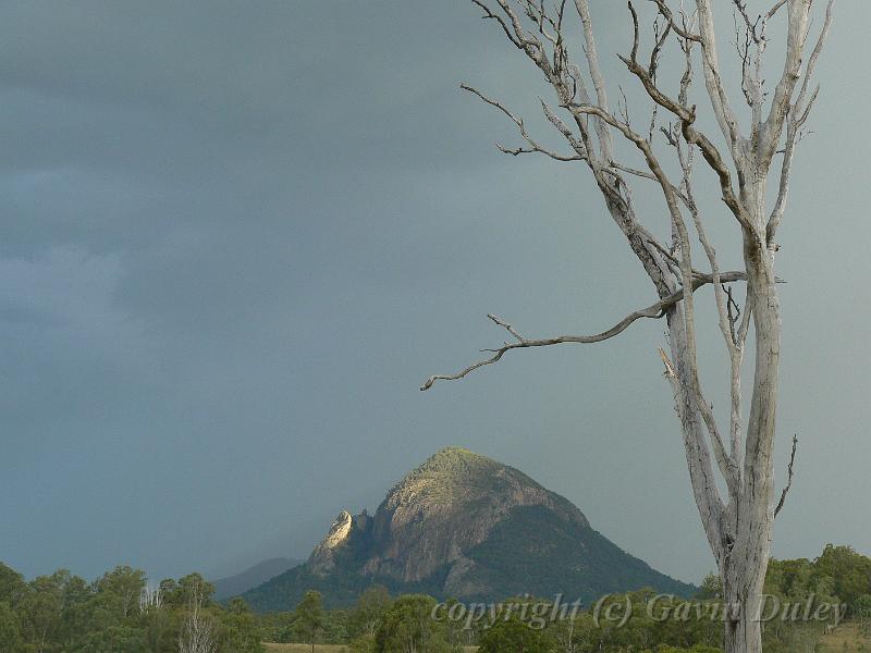 Storm light, Cunningham's Gap P1080042.JPG